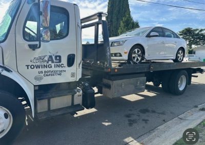 Professional Towing Service
